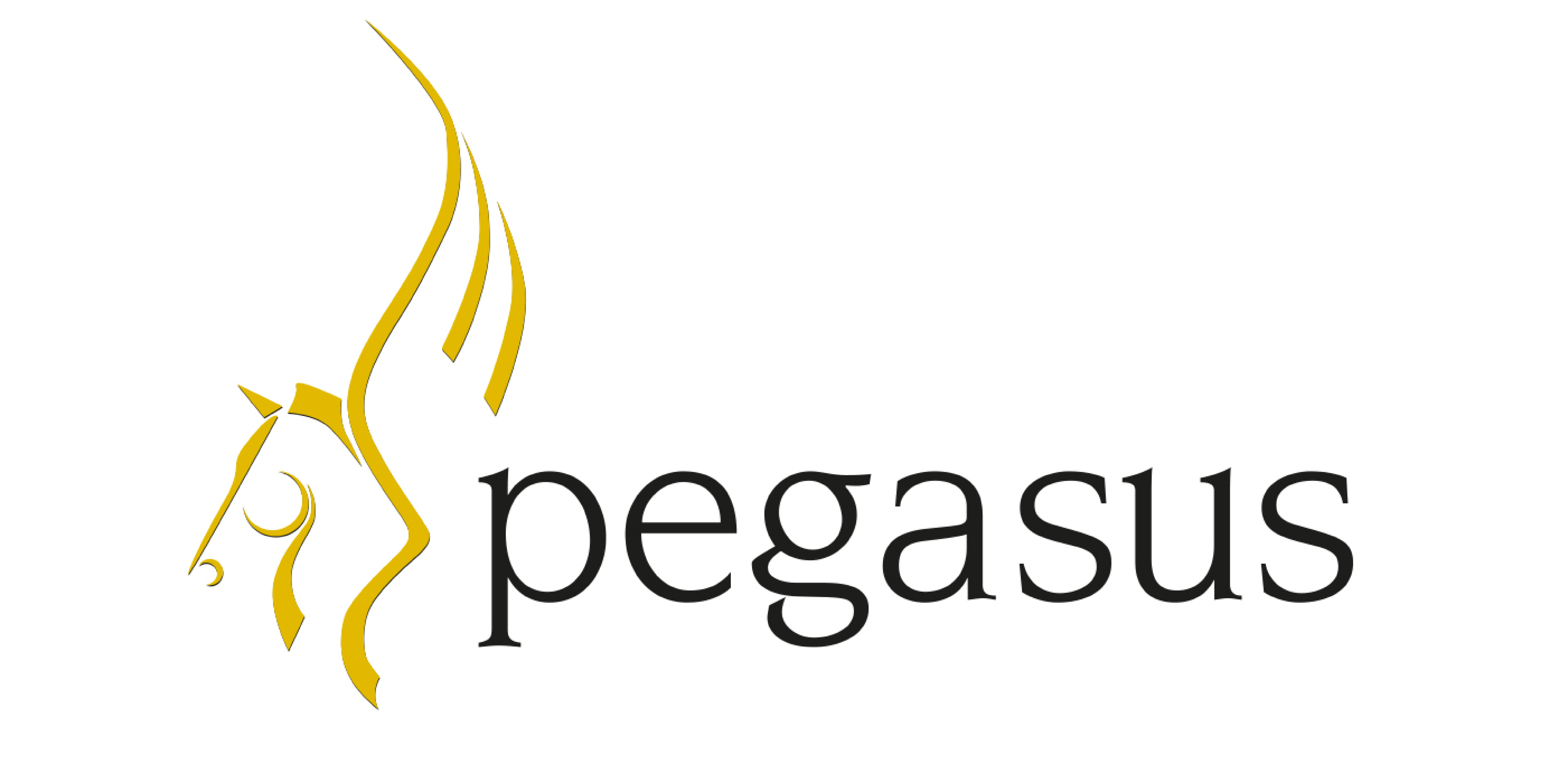 Switching from Pegasus to BrightPay